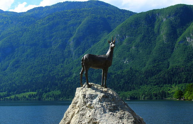 Serene Apartment in Bohinjsko Jezero near Ski Lift - Foto 19