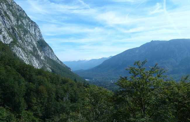 Serene Apartment in Bohinjsko Jezero near Ski Lift - Foto 26