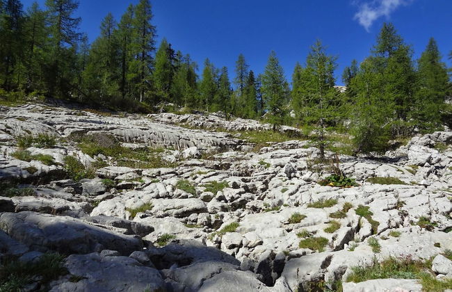 Serene Apartment in Bohinjsko Jezero near Ski Lift - Foto 31