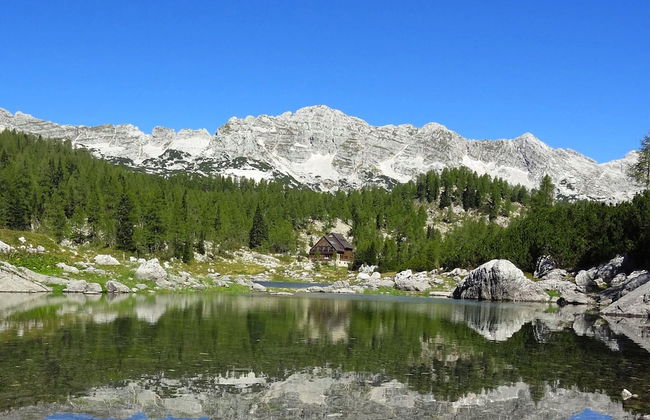 Serene Apartment in Bohinjsko Jezero near Ski Lift - Foto 25