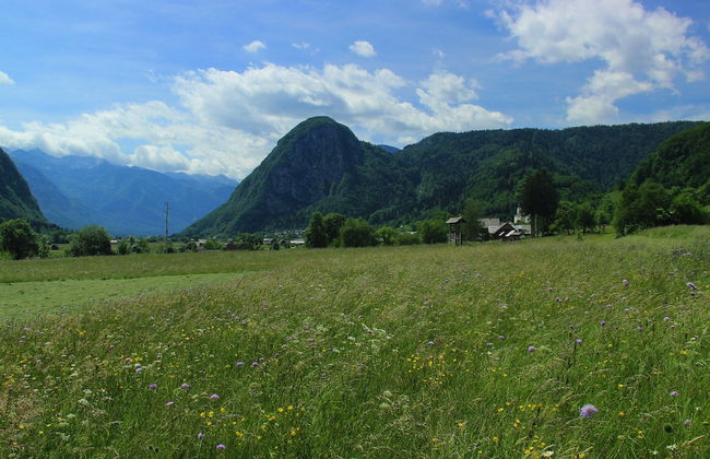 Serene Apartment in Bohinjsko Jezero near Ski Lift - Foto 30