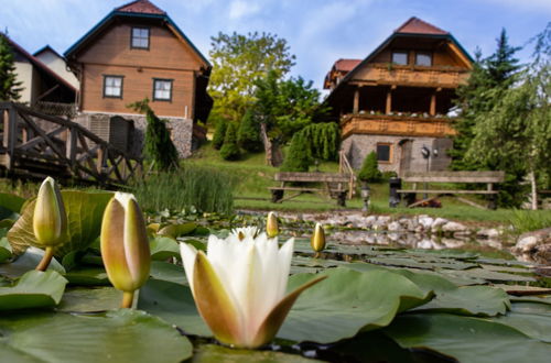 Photo 1 - Apartments and wellness center Korošec