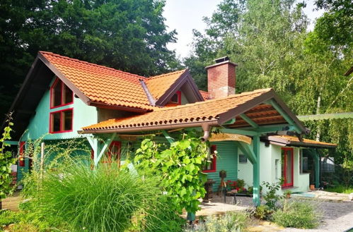 Photo 49 - Fairytale Wooden House near Ljubljana