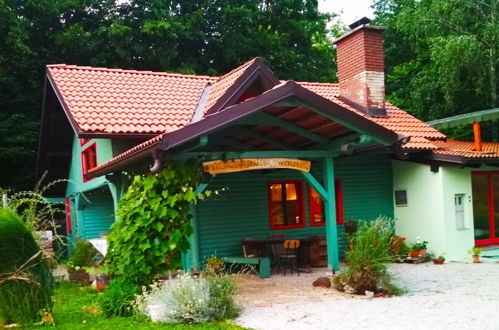 Photo 52 - Fairytale Wooden House near Ljubljana