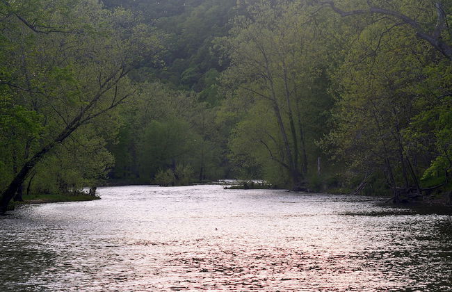 River Walk Cottage - Romantic Escape - Foto 33