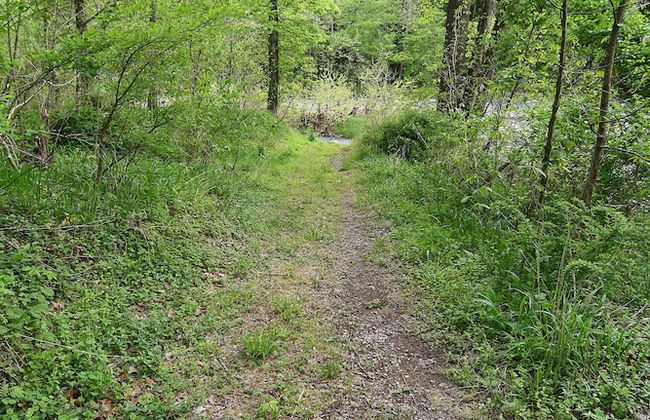 River Walk Cottage - Romantic Escape - Foto 28