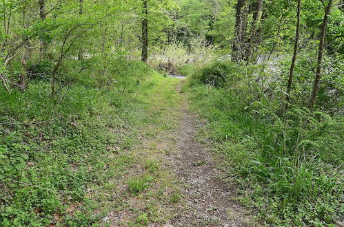 Photo 28 - River Walk Cottage - Romantic Escape