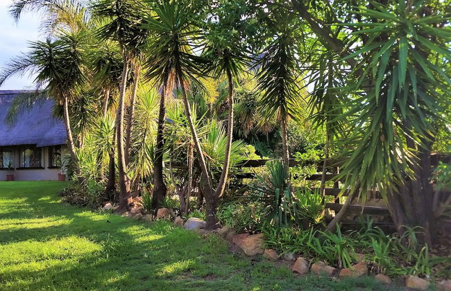 Pine Tree Lodge - Foto 48