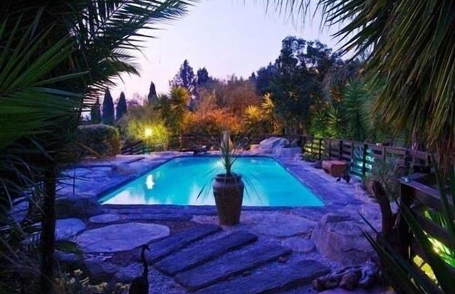 Pine Tree Lodge - Foto 42