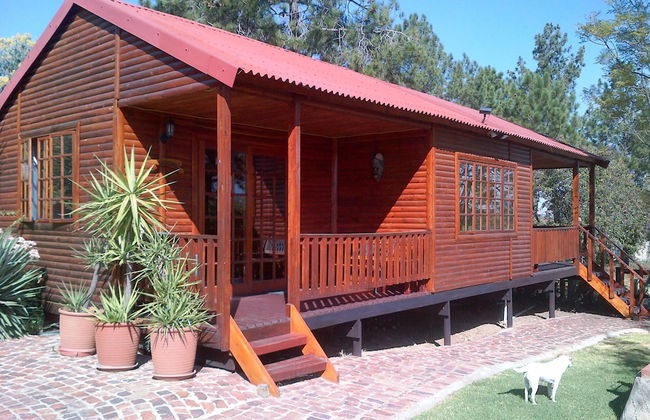 Pine Tree Lodge - Foto 31