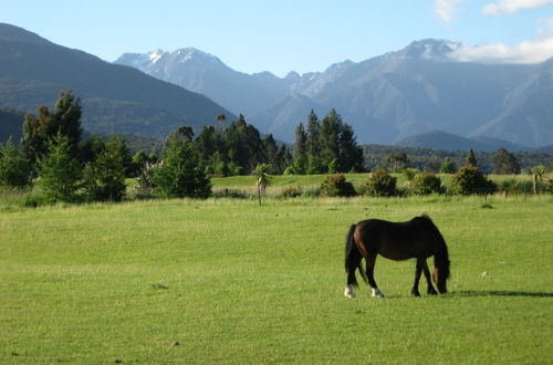 Foto 57 - Kepler Oaks Chalet