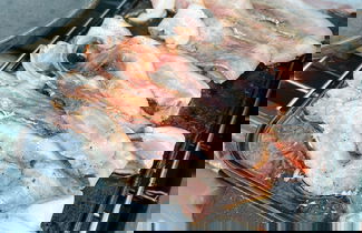 Photo 56 - Ecovino Valle de Guadalupe