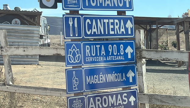 Receção
