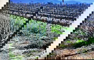 Photo 51 - Ecovino Valle de Guadalupe