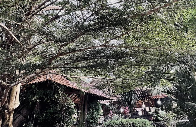 Sahom Valley Resort - Agro & Eco - Foto 36