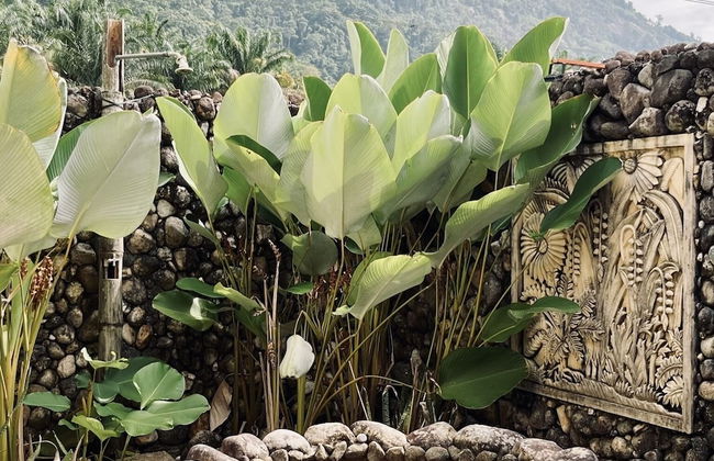 Sahom Valley Resort - Agro & Eco - Foto 40