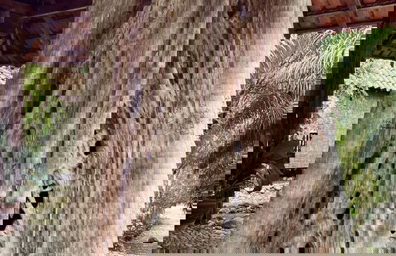 Sahom Valley Resort - Agro & Eco - Foto 18