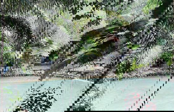 Sahom Valley Resort - Agro & Eco - Foto 37