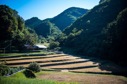 Photo 15 - Setouchi Cominca Stays Hiroshima FROSEN