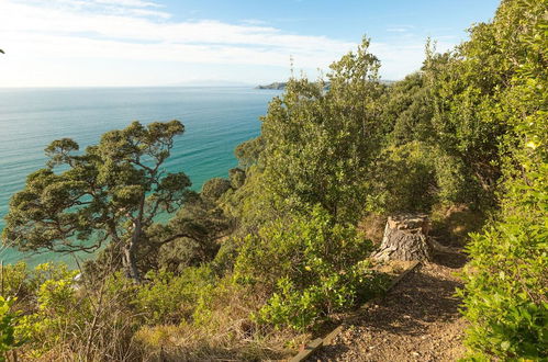 Photo 13 - Moeraki