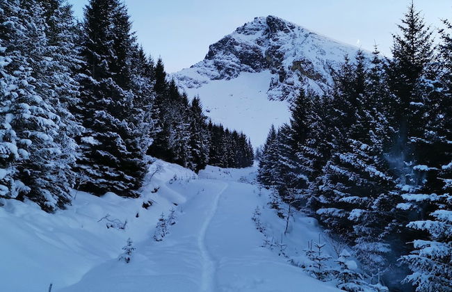 Oppmyre Camping - Photo 12