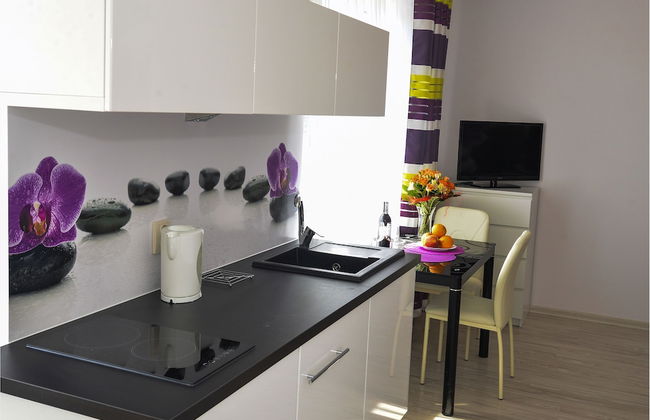 Apartamenty Sun&Snow Karpacz Sucha - Foto 11