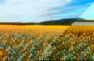 Foto 3 - Vibrant Holiday Home in Jutland near Sea