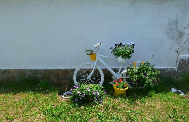 Villa Valley of Roses - Foto 12