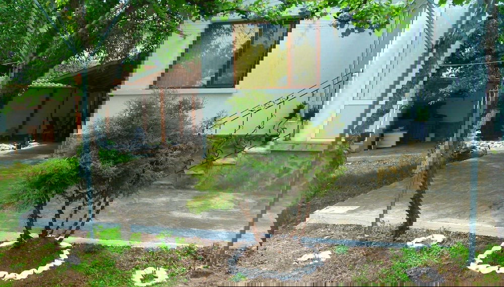Imagem principal