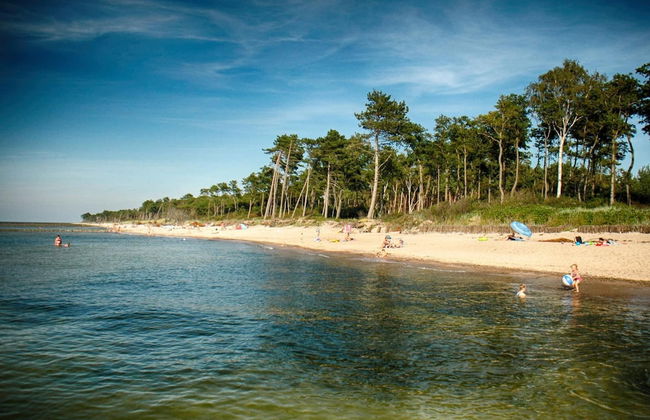 Cozy Studio 1 at the Seaside Agrotourism - Foto 38