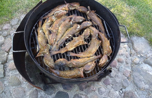 Cozy Studio 1 at the Seaside Agrotourism - Foto 13