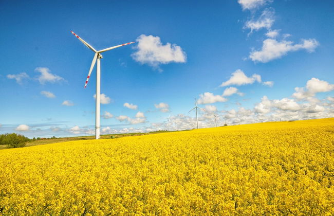 Cozy Studio 3 at the Seaside Agrotourism - Foto 44