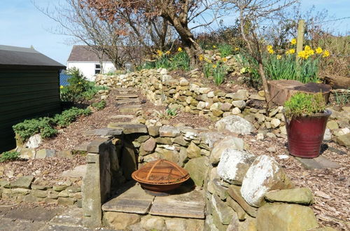 Photo 43 - Merlins Cabin - 2 Bedroom Cabin - Blaen Cedi Farm - Penclawdd