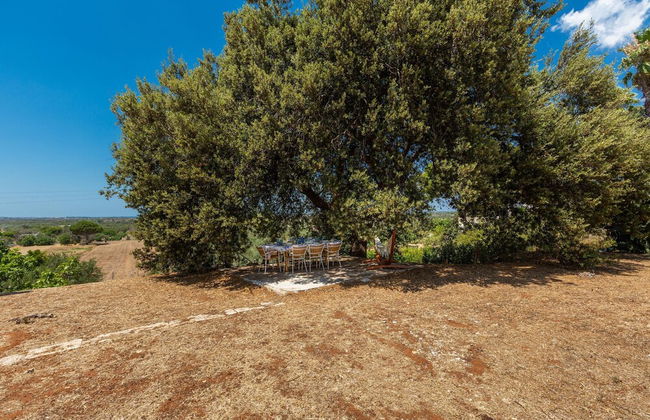 3106 Villa Acqualuce by Perle di Puglia - Foto 33