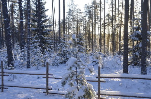 Foto 8 - Shishki na Lampushke - Russkaya Derevnya