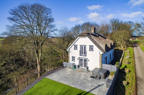 Photo 63 - Thatched Cottage - hot tub BBQ and Pool Table