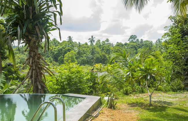 Meadow Villa - Galle - Foto 16