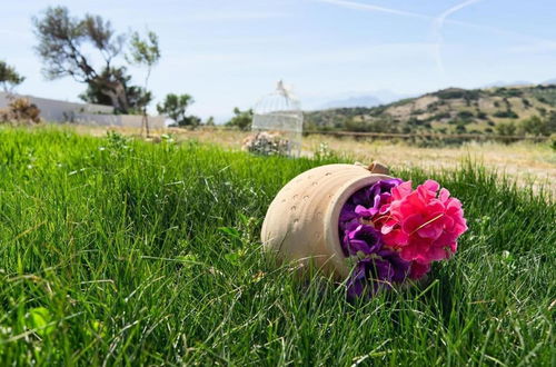 Photo 36 - Emmanuela House With Garden and sea View- Triopetra