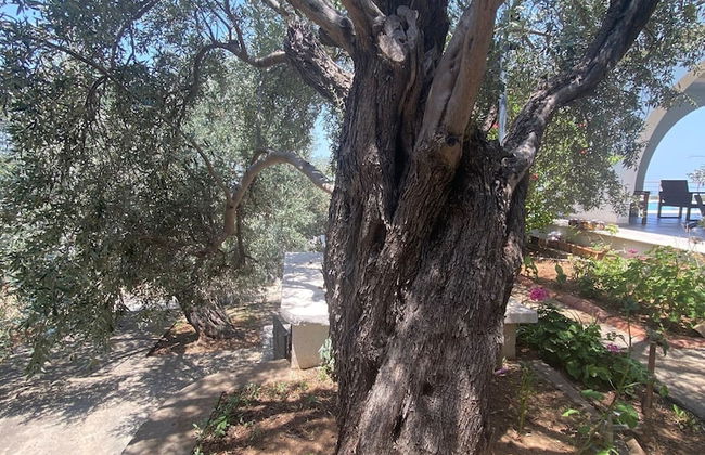 "villa She Ruz " - Foto 43