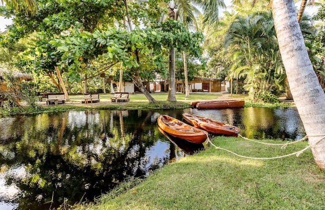 Kibayo Cabarete - Foto 1