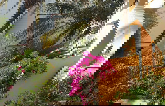 La bougain Villa - Foto 34