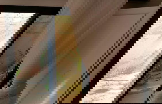 La bougain Villa - Foto 8