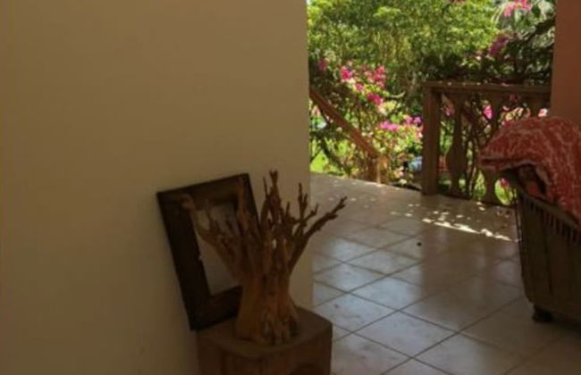 La bougain Villa - Foto 16