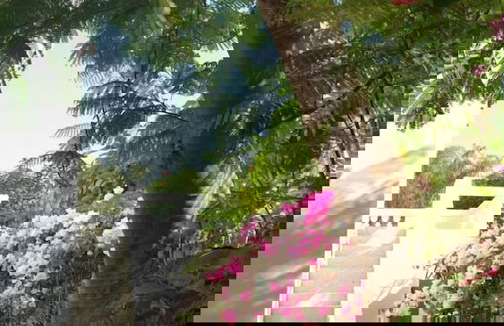 La bougain Villa - Foto 21