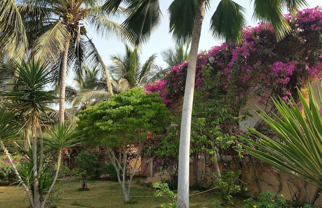 La bougain Villa - Foto 24