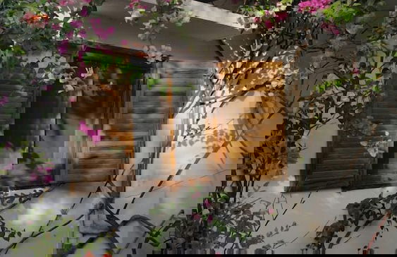 La bougain Villa - Foto 31