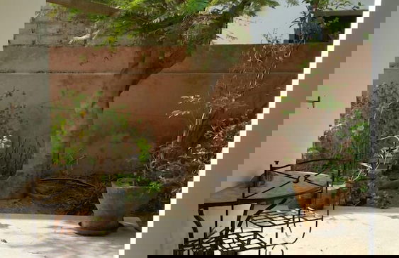 La bougain Villa - Foto 28