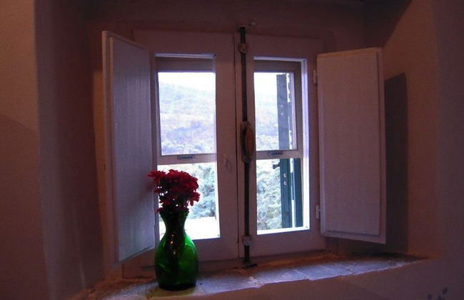 House, Villa - Polveraia, Scansano, Grosseto - Foto 14