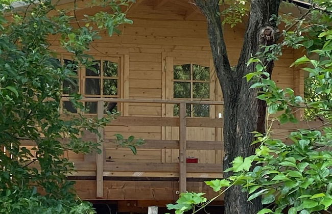Holiday House Sullalbero Rural eco in Alba - Photo 14
