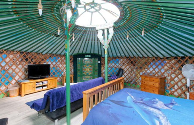Green Yurt With Hot Tub - Sleeps 3, Parking & Wifi - Foto 20